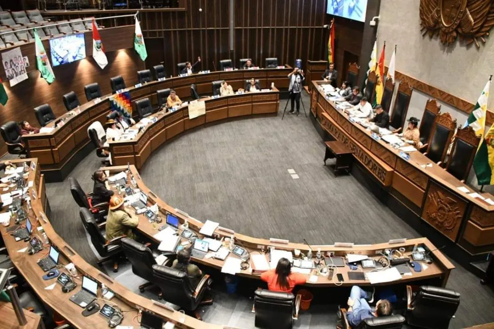 Senado Sanciona Dos Cr Ditos Internacionales Para La Construcci N De