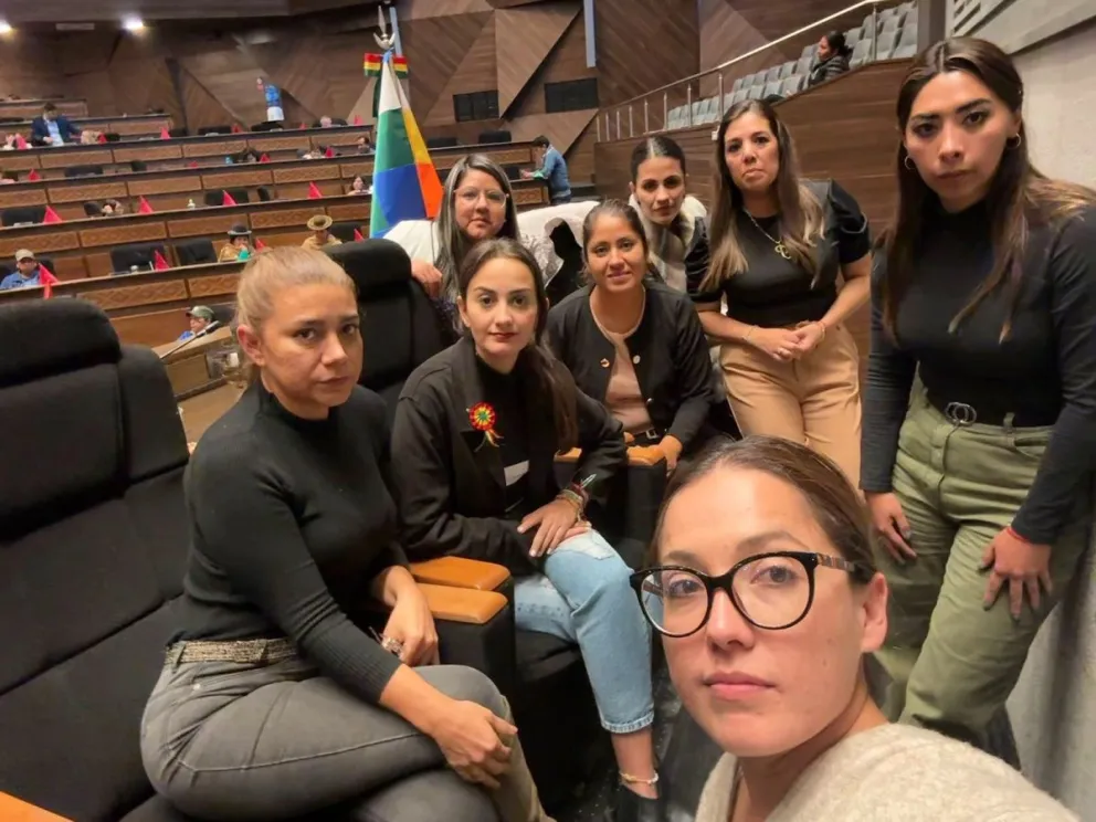 Legisladoras en la testera de la Cámara de Diputados. Foto: Cuenta de X de diputada Luisa Nayar. 