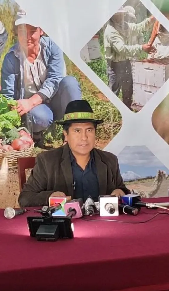 El viceministro de Desarrollo Rural, Álvaro Mollinedo. Foto: Captura de video