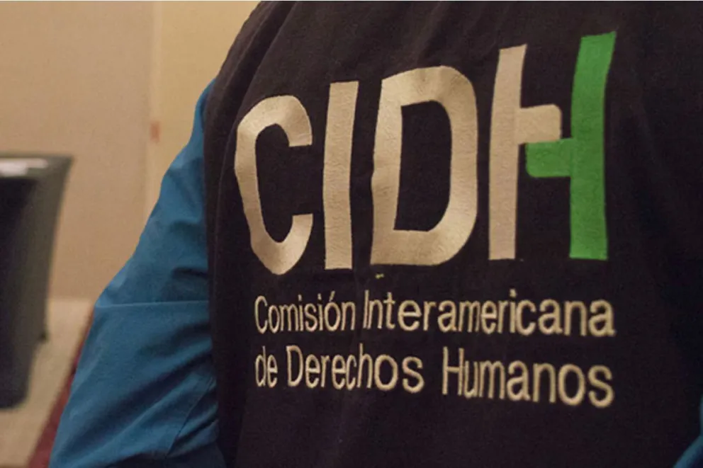 Un funcionario con la identificación de la CIDH. Foto: @LuisFerCamachoV