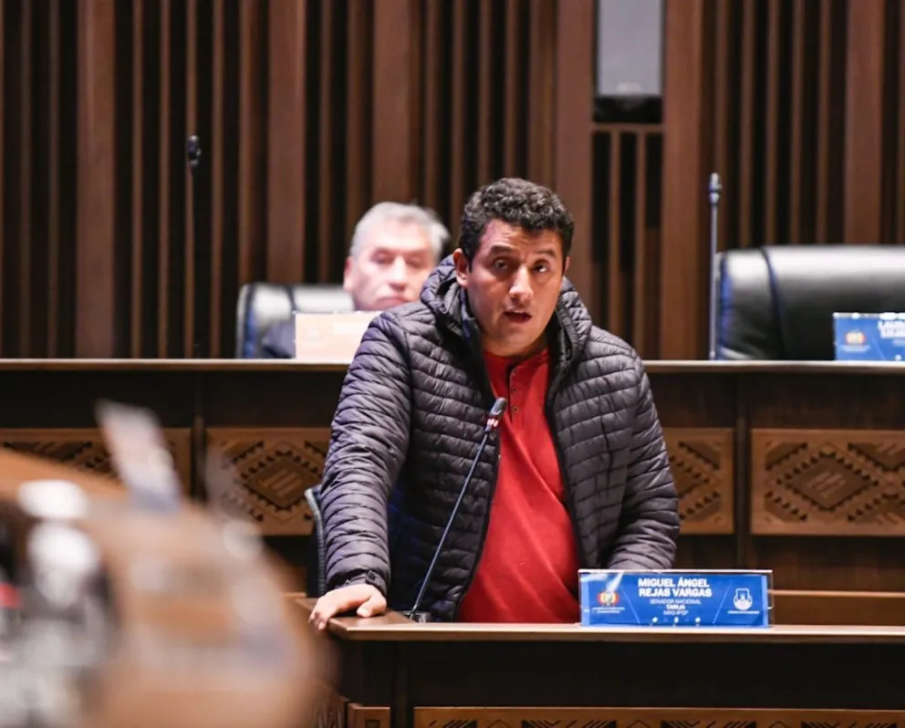 El senador Miguel Rejas, en una sesión anterior. Foto: ABI