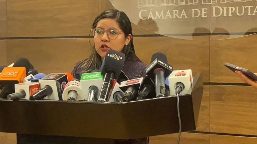 Lissa Claros, diputada de CC por Potosí. Foto: Captura de video
