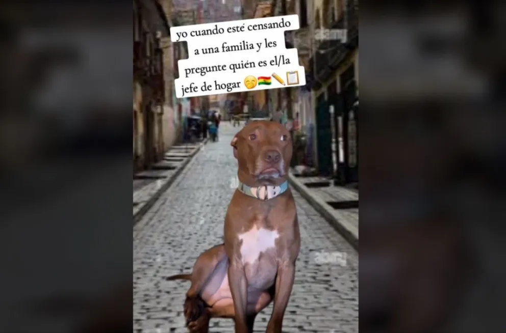 Uno de los videos que se difundió. 