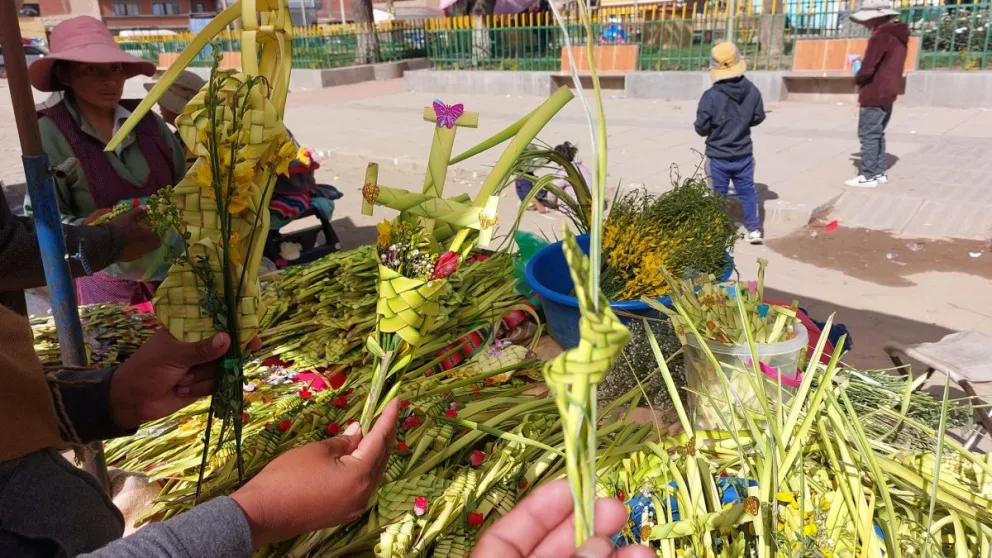 Palmas tejidas para el Domingo de Ramos en Patacamaya.   Foto: Facebook Grovertt Filmes
