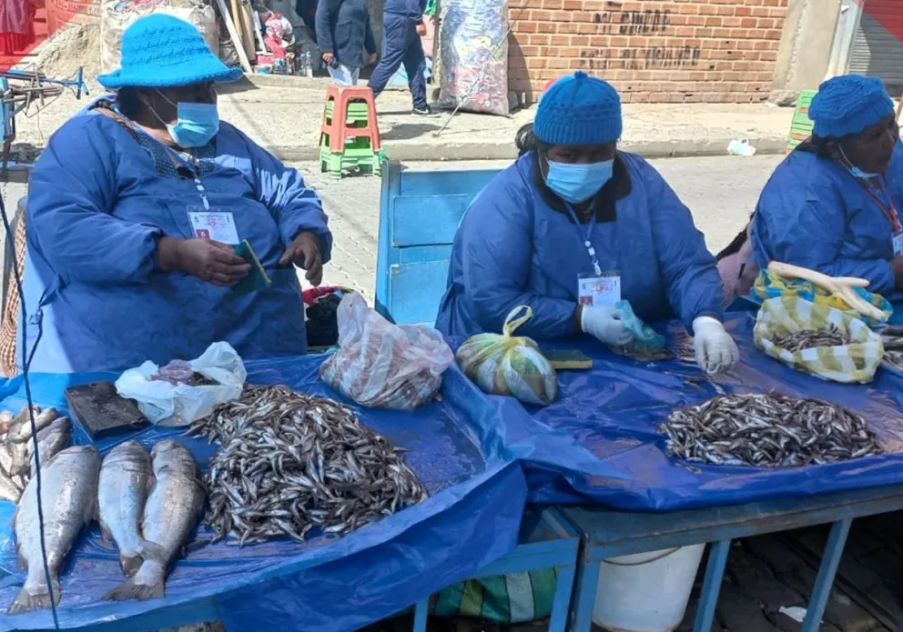 Comenzaron los controles a la venta de pescado.         Foto: Sedes La Paz