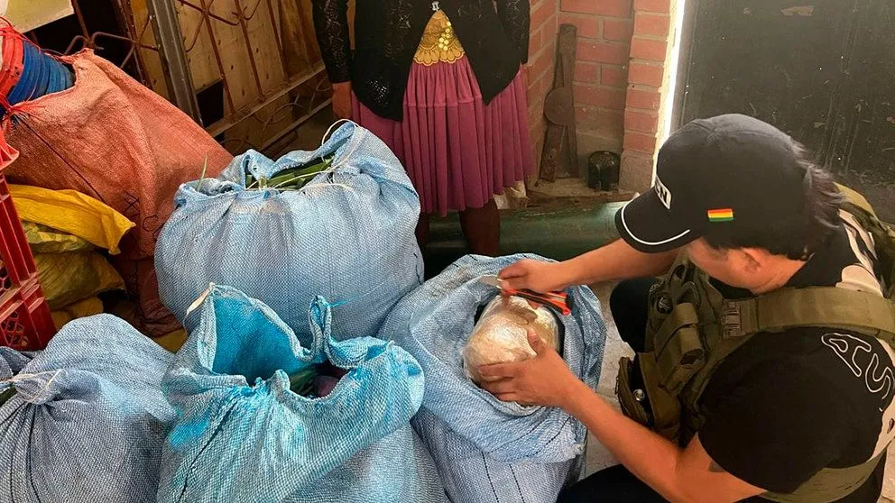 La droga fue escondida en bolsas del cebolla. Foto: FELCN