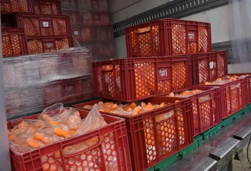 Cajas con pollo en una distribuidora de Bolivia. Foto: APG