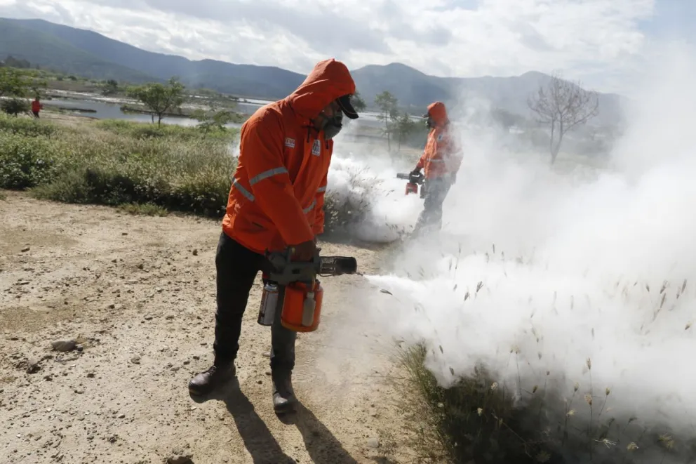 Equipo de salubristas fumigan para matar al mosquito Aedes aegypti. FOTO: APG