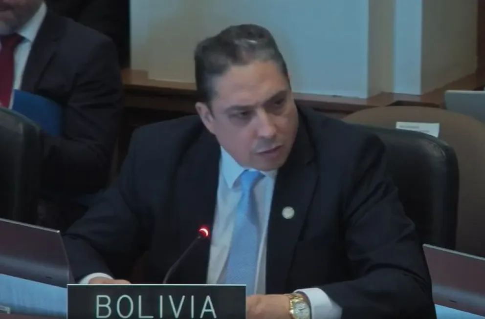 El embajador de Bolivia ante la OEA, Héctor Arce Zaconeta, en la sesión en la OEA. Foto: Captura.
