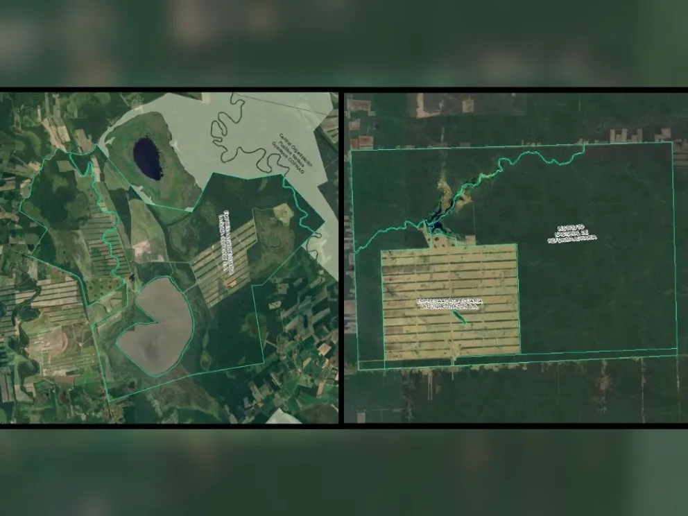Estos son los predios cedidos a la familia Marinkovic por un fallo constitucional. Foto satelital: Fundación Tierra