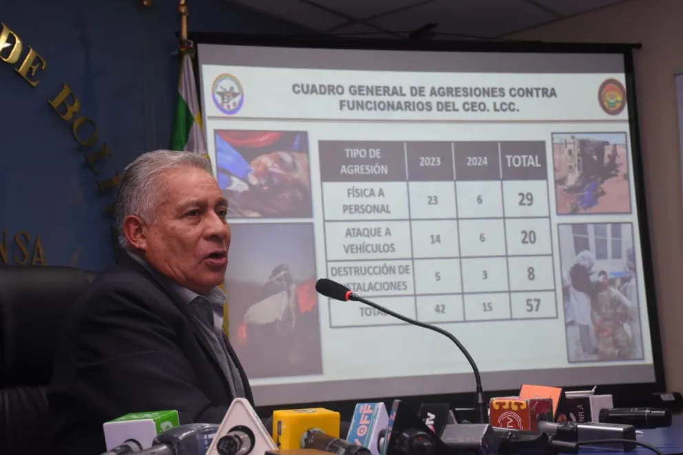 El viceministro Daniel Vargas durante la presentación de su informe. Foto: APG