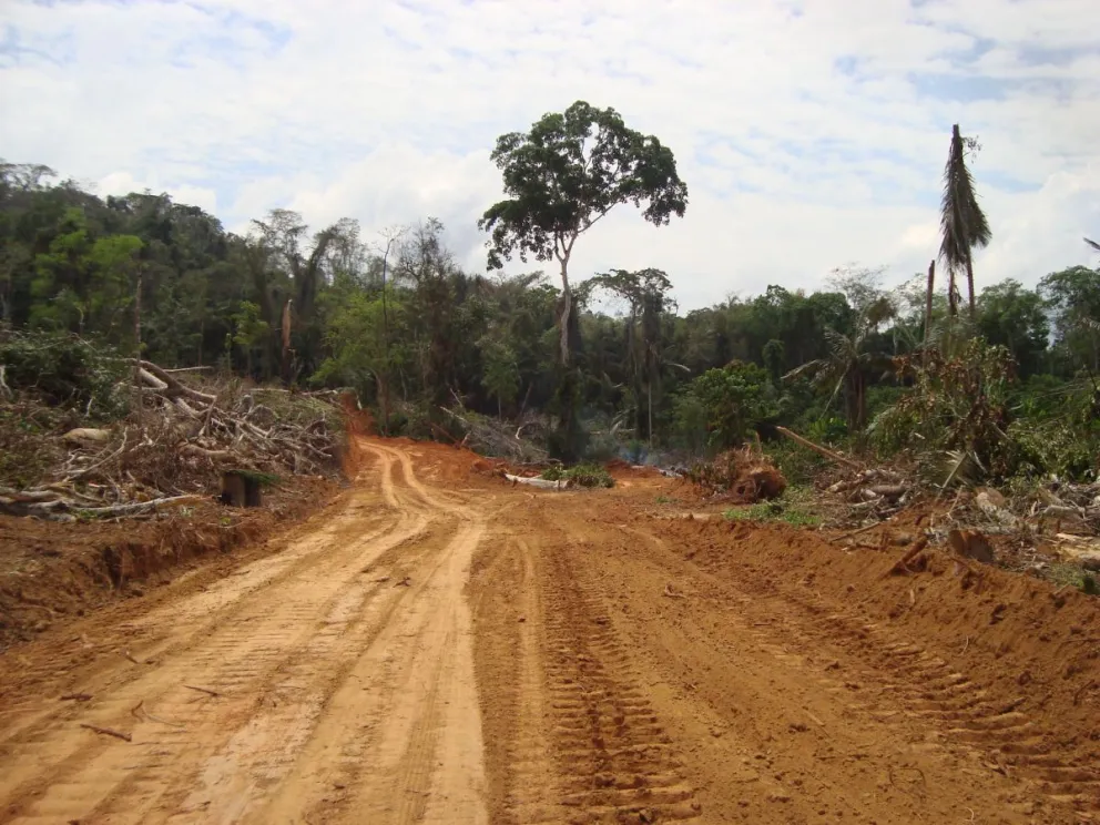 Una imagen de la destrucción de áreas forestales en el país. Foto: Marlene Quintanilla / Mongabay.com