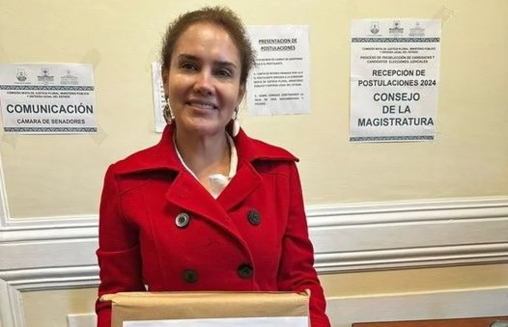 La abogada Margarita Medrano, de Santa Cruz, presentó un amparo constitucional que paralizó el proceso de preselección para las Elecciones Judiciales, Foto: Cámara de Senadores.