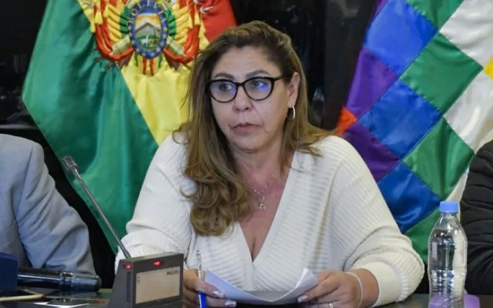 La senadora del MAS, Patricia Arce. Foto: Cámara de Senadores.