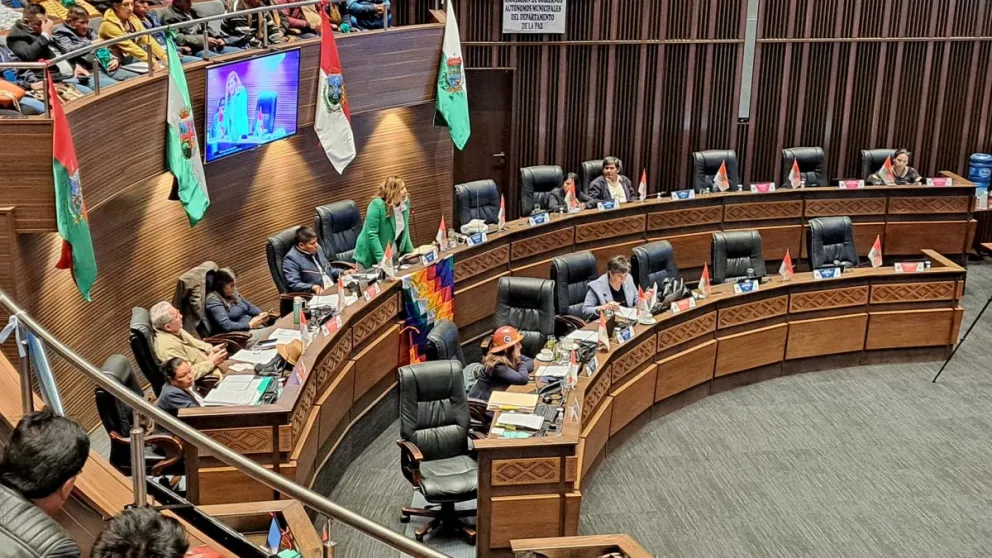 Una sesión de la Cámara de Senadores que abordó la ley 348. Foto: DTV