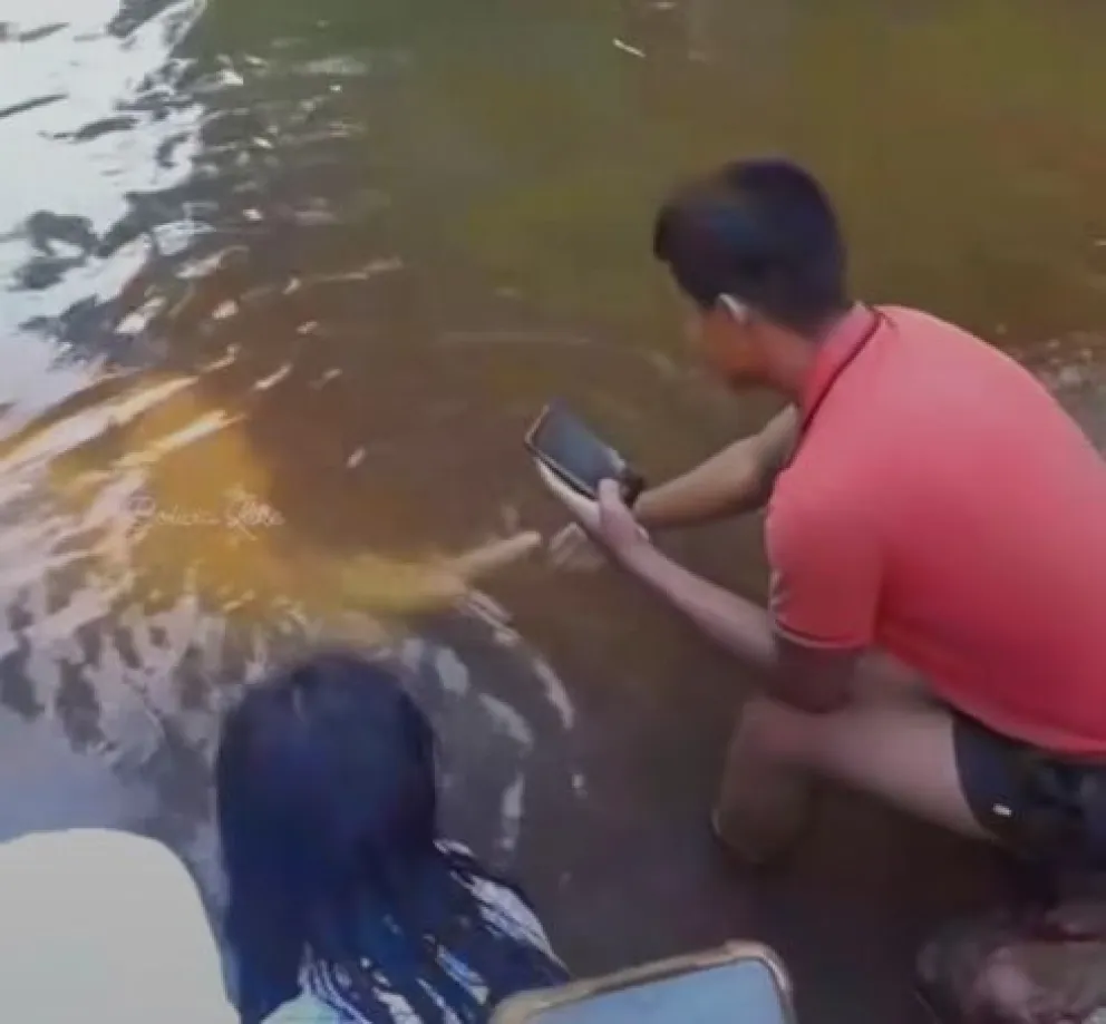 Imagen de los habitantes tratando de alimentar y acariciar a uno de los bufeos.  Foto: Captura