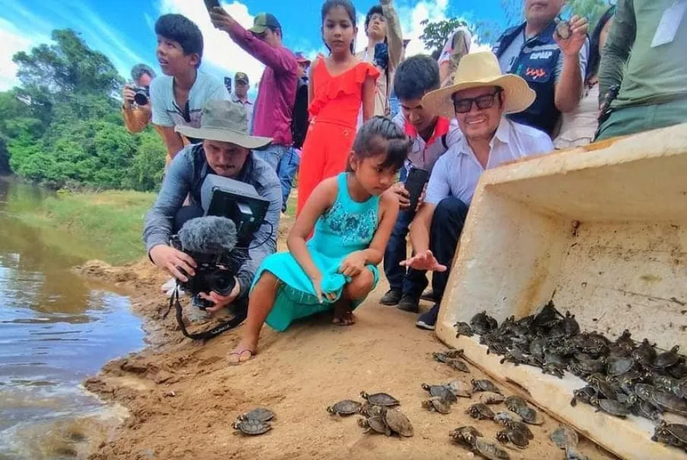 Las tortugas fueron llevadas al río el fin de semana pasado. Foto: La voz de la Naturaleza (Facebook)