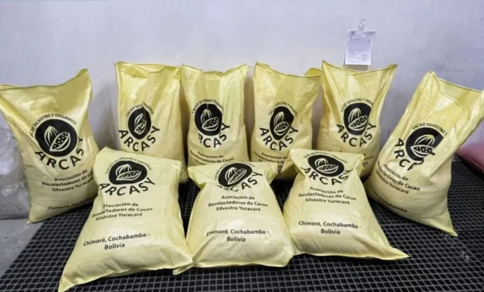 Cacao orgánico de exportación de la Asociación de Recolectores de Cacao Silvestre Yuracaré (ARCASY). Foto: Cancillería
