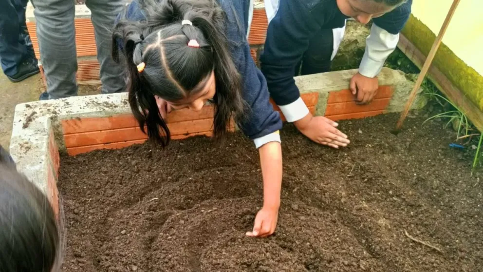 Los niños trabajan en sus huertos. Fotos: AMUN