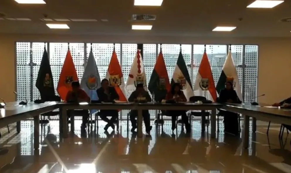 Comisión Mixta de Justicia Plural de la Asamblea Legislativa. Foto: Captura Cámara de Senadores.