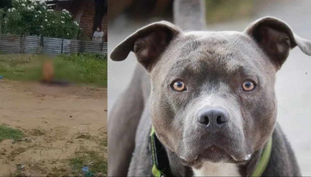 El hecho ocurrió en el barrio Juancho. Foto: Red Uno