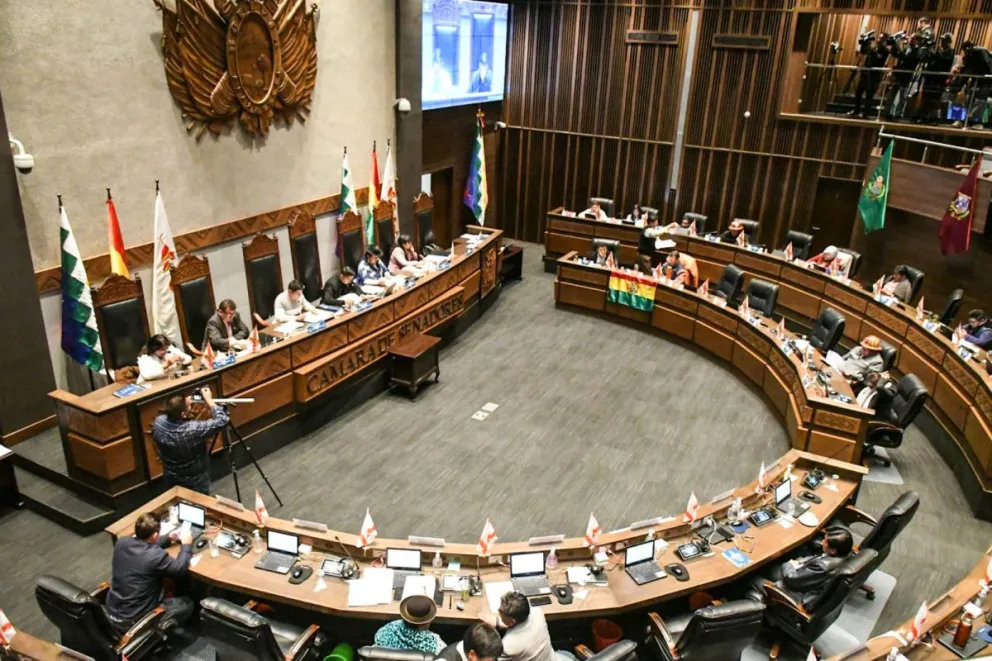 La sesión se llevó a cabo en horas de la tarde en la Cámara Alta. Foto: Senado Bolivia