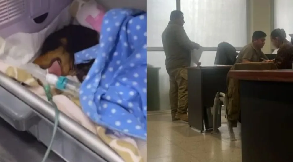 Joni, el cachorro salchicha, fue intervenido en una veterinaria. Foto. Red Uno.