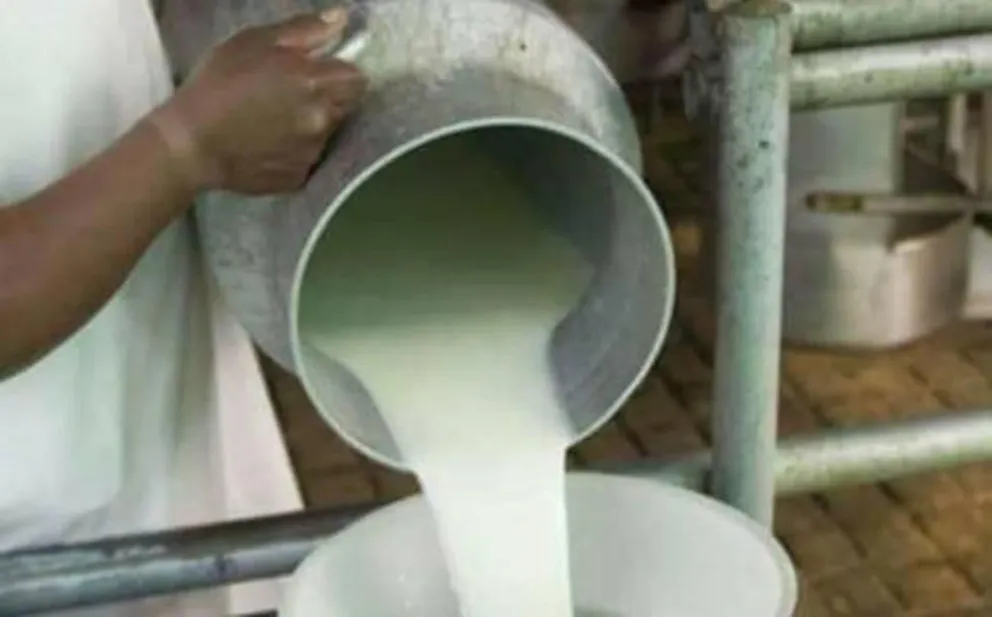 Una foto referencial de un productor de leche. Foto: El Potosí