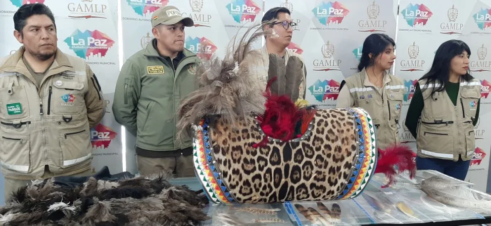 Vestuario y piezas de fauna decomisadas en la preentrada del Gan Poder. Foto: Mirna Echave