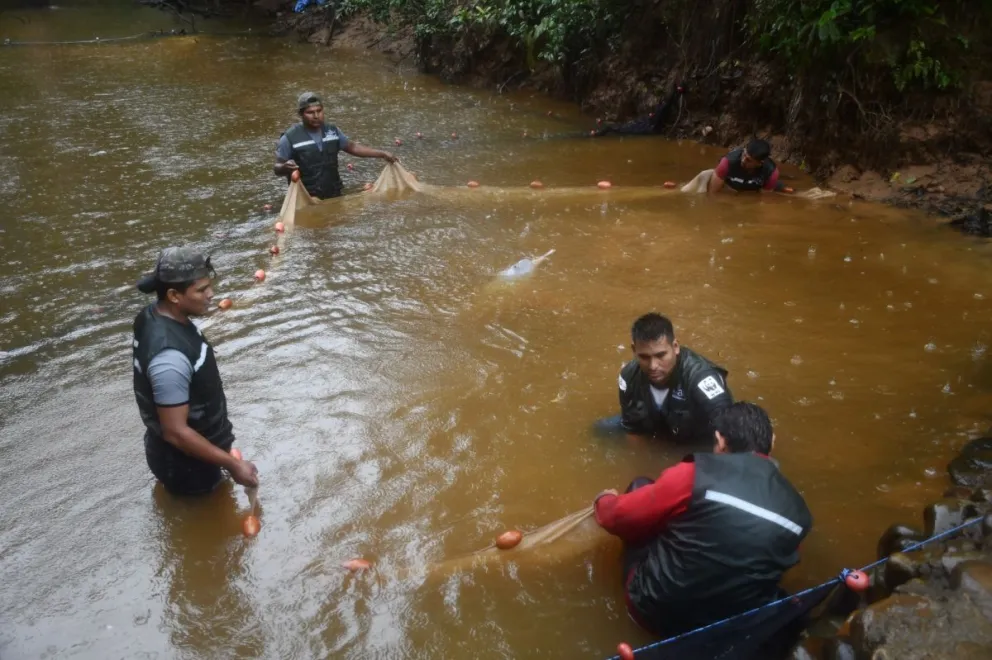 Expertos liberan a los bufeos en su hábitat. Foto: Gobernación de Cochabamba.