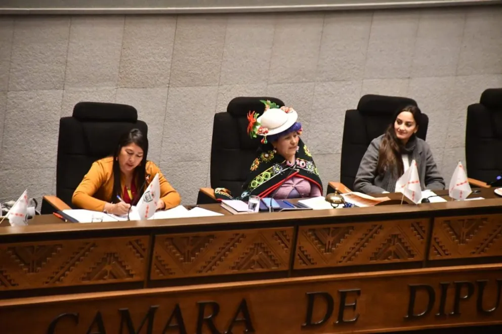 La presidenta en ejercicio de Diputados, Verónica Challco (Centro), suspendió la sesión. Foto: ABI