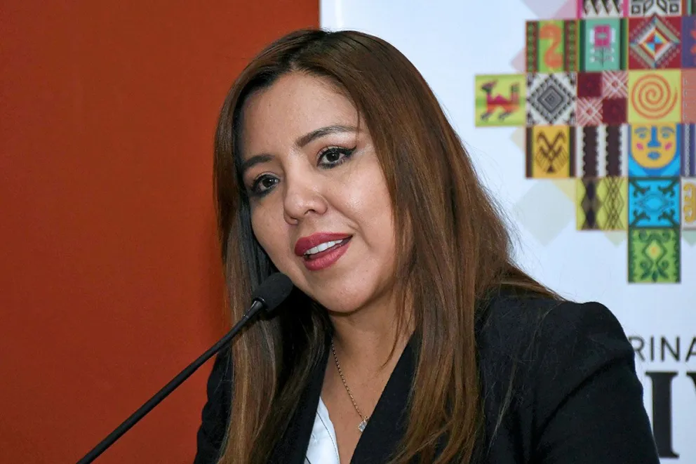 Gabriela Alcón, viceministra de Comunicación. Foto: Jornada