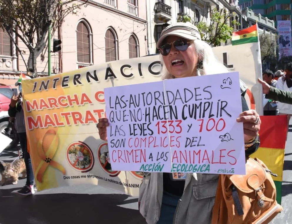 La gente llevó acrteles para manifestar sus peticiones. Fotos: APG