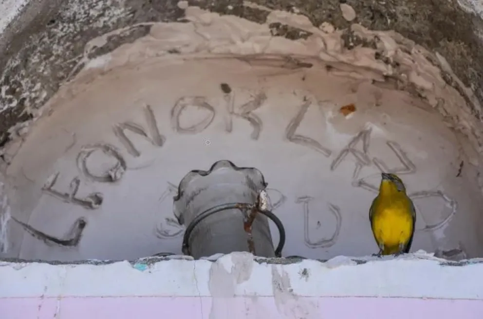 Una tumba en el Cementerio General de La Paz (imagen referencial). Foto: Amun