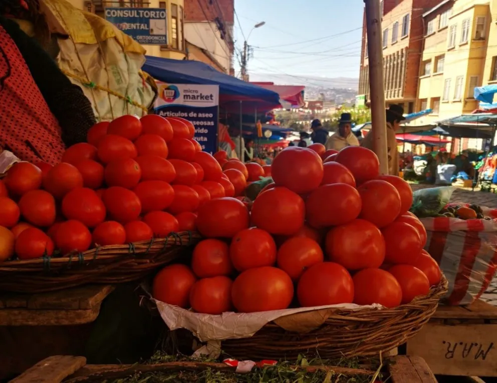 Venta de tomate en el mercado. Foto: Marco Belmonte