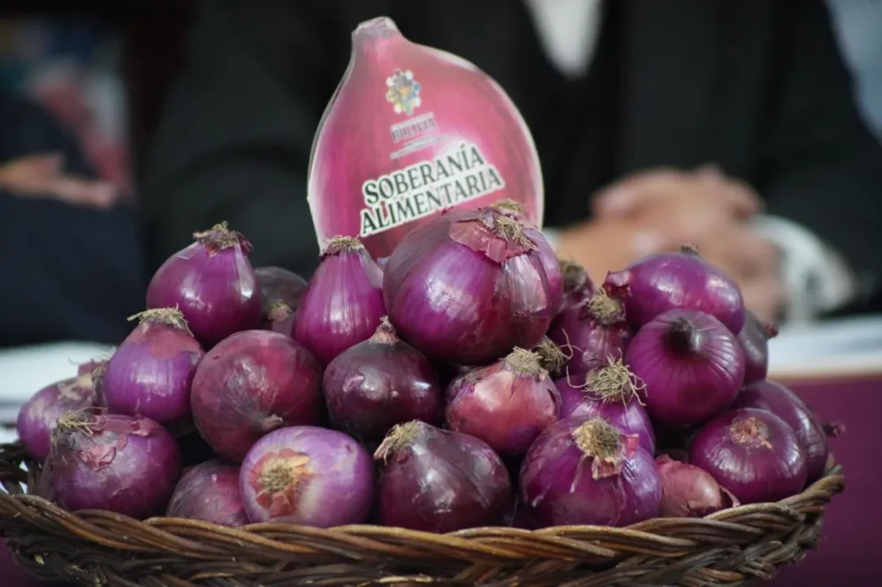 Cebolla, uno de los productos cuyo elevado precio incidió en la inflación de mayo. Foto: ABI (archivo)