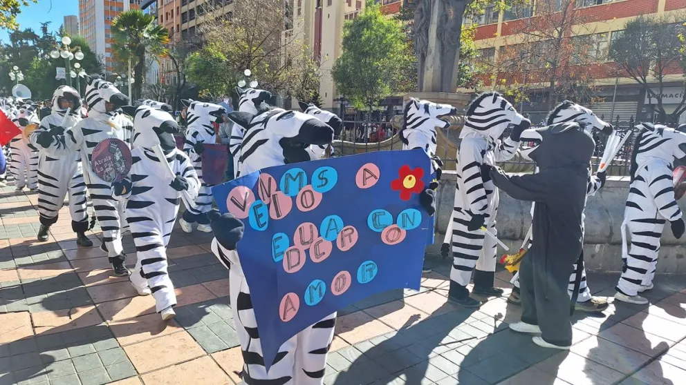 Las cebritas retornaron al centro de la ciudad para impartir educación vial y enseñar otras tareas. Foto: Diego Gonzales