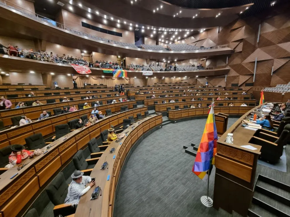 La sesión comenzó pasadas las 14:30. Foto: Diputados Bolivia