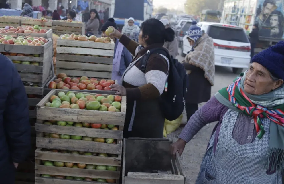 La intendencia realiza operativos de control en los precios del tomate en Cochabamba. Foto: APG