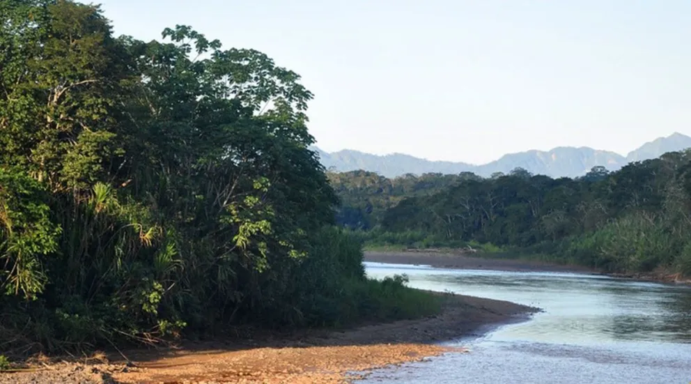 Un sector del río Tequeje, en Beni, donde la actividad minera está prohibida. Foto: Ministerio de Minería 