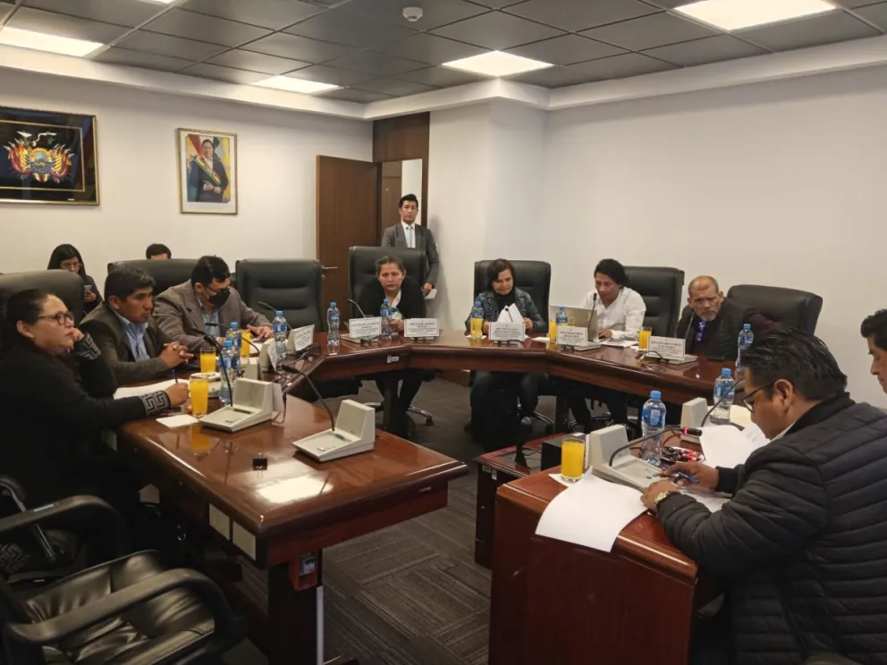 La sesión de la Comisión de Constitución de la Cámara de Diputados. Foto: ABI / Cámara de Diputados