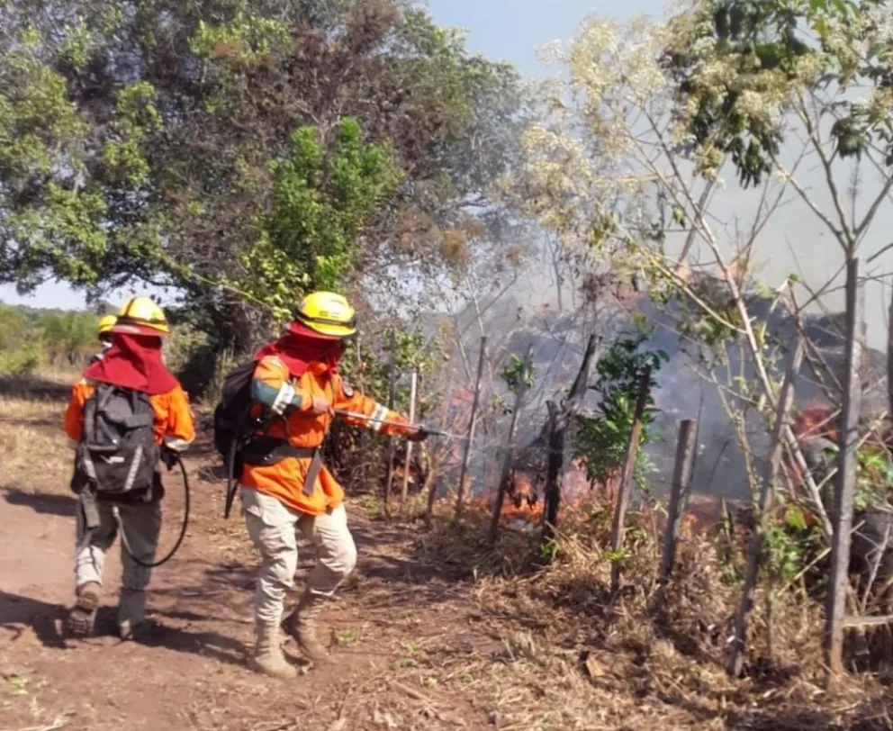 Defensa Civil alerta de riesgo de incendios en municipios. foto: ABI.