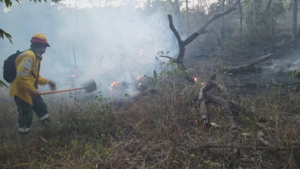 Un bombero sofoca las llamas. Foto: Visión 360