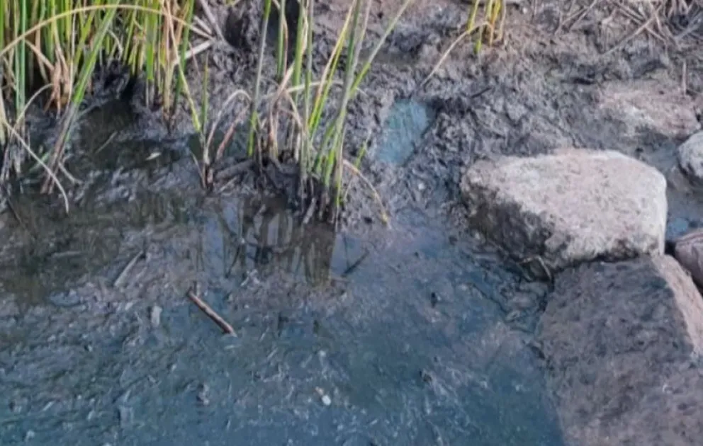 Agua del lago Titicaca contaminada tras el accidente en el Desaguadero. Foto: Captura de video
