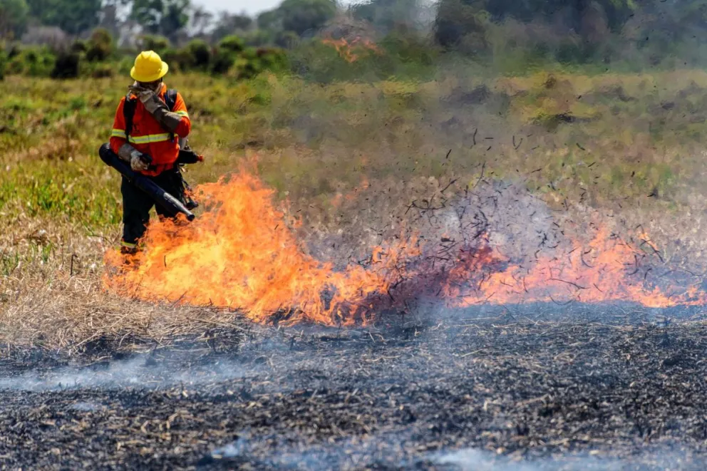 Un bombero trabaja en la extinción de incendios en la región del Pantanal (Brasil). Foto: EFE