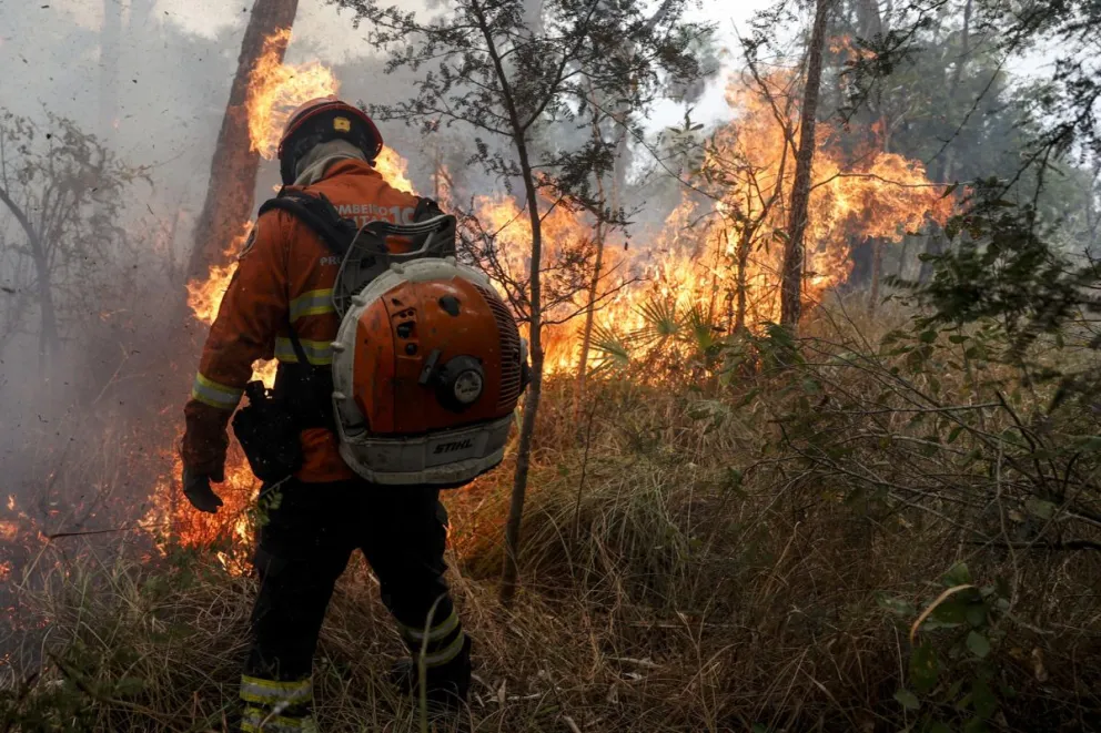 Un bombero trabaja en la extinción de un incendio este domingo en Pantanal (Brasil). Foto: EFE / Sebastião Moreira
