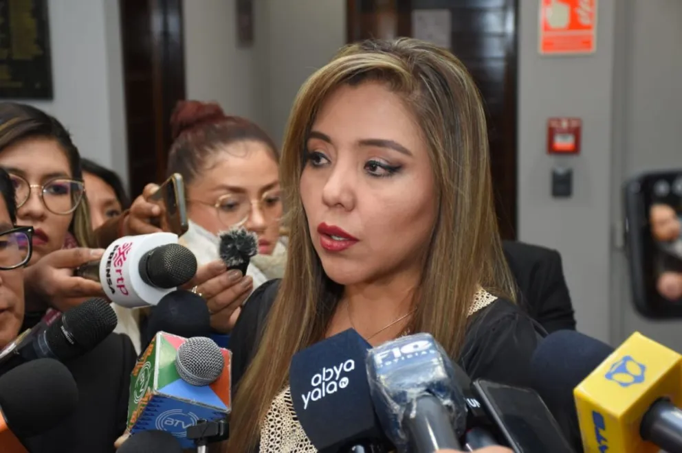 La viceministra de Comunicación, Gabriela Alcón, en una imagen de archivo. Foto: APG