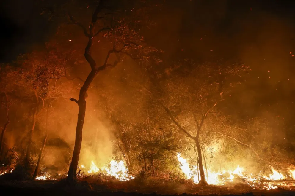 El incendio forestal en El Pantanal. Foto: EFE / Sebastiao Moreira