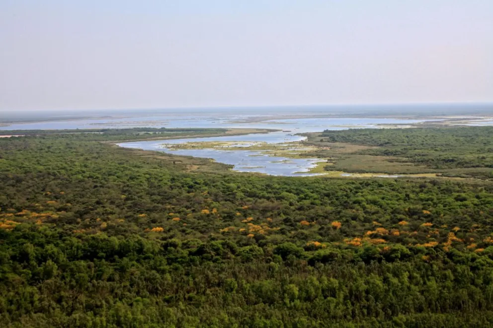 Fotografía de archivo de El Impenetrable, paisaje natural perteneciente a la provincia argentina del Chaco, al norte del país. Foto: EFE