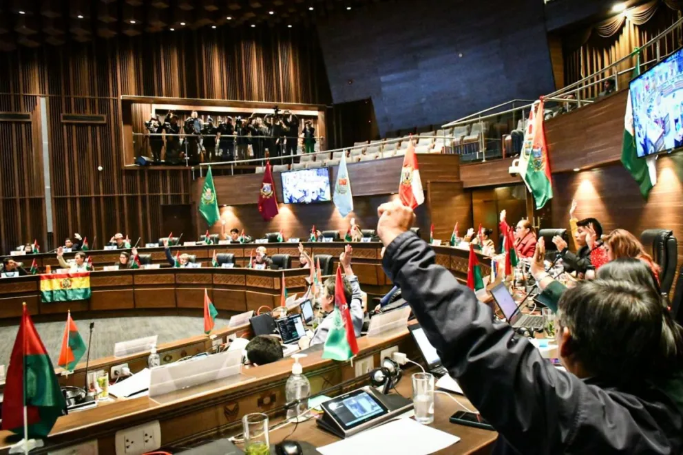 El Senado sesionó la tarde de hoy. Foto: Senado Bolivia